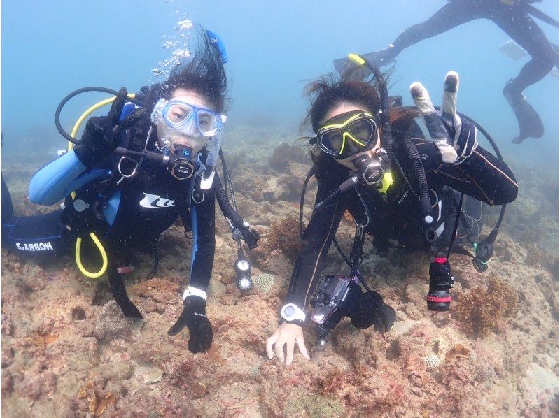 【四国・徳島】未経験・初心者も安心☆ 参加の皆さんの水中写真もプレゼント！　熱帯魚に会える！ウキウキ体験ダイビング（ビーチダイブ）の紹介画像