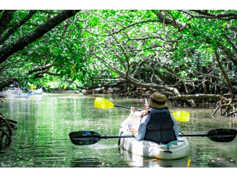 [Small group SUP/Kayak] Ishigaki Island's first! Superb sunset & natural monument mangrove drone and SLR camera photography included! Guided by a professional island photographer!の紹介画像