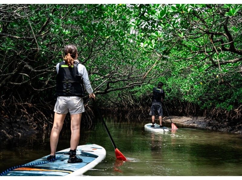 [Ishigaki Island / Limited to one group] Golden Week price! Natural Monument Mangrove & Sunset SUP/Kayak! First time in Ishigaki Island! Mangrove drone photography included!の紹介画像