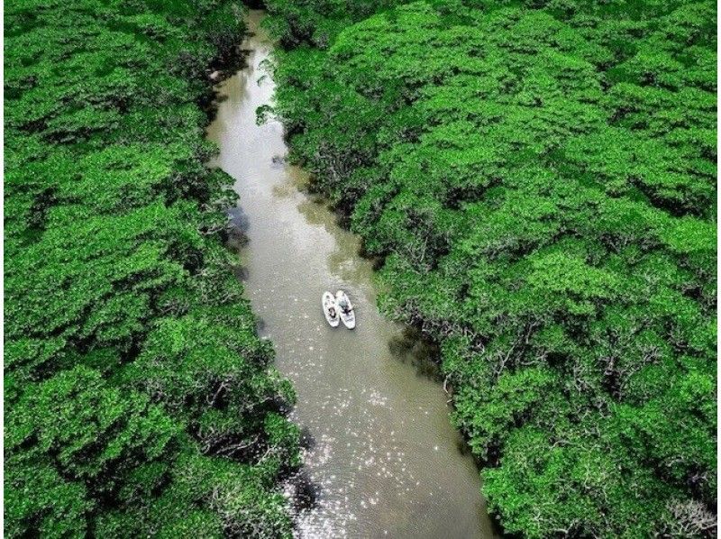 [one group per day - SUP/Kayak] Ishigaki Island's first! Superb sunset & natural monument mangrove