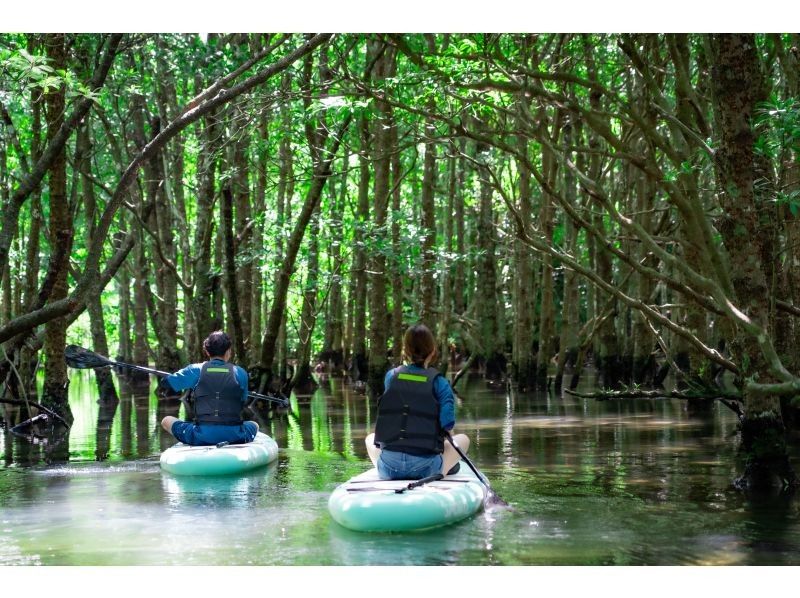 [Limited to one group per day - SUP/Kayak] Ishigaki Island's first! Superb sunset & natural monument mangrove drone and SLR camera photography included! Guided by a professional island photographer!の紹介画像