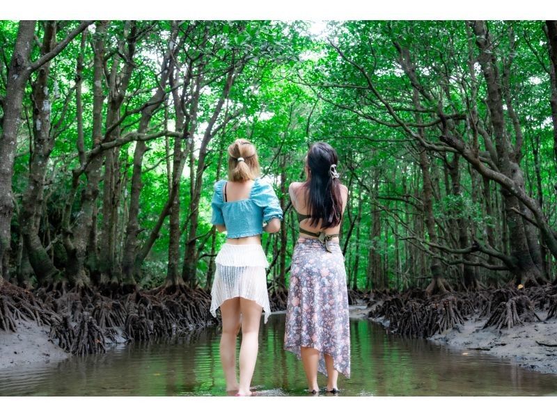 [Small group SUP/Kayak] Ishigaki Island's first! Superb sunset & natural monument mangrove drone and SLR camera photography included! Guided by a professional island photographer!の紹介画像