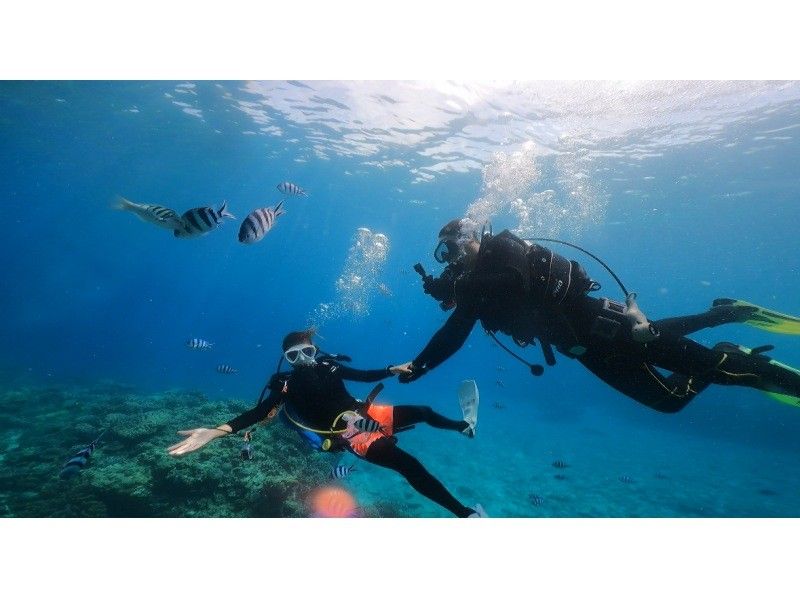 [沖繩本島/北部]美麗海水族館附近的大猩猩斬體驗潛水♪免費GoPro照片資料服務推薦給女性、情侶和家庭！の紹介画像