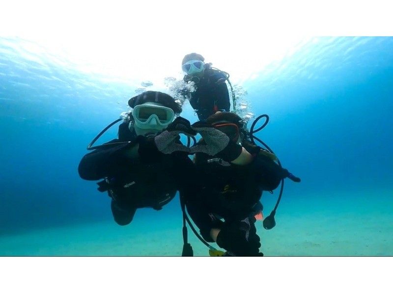 ★冲绳本岛/北部大猩猩砍体验潜水♪免费GoPro照片数据服务！の紹介画像