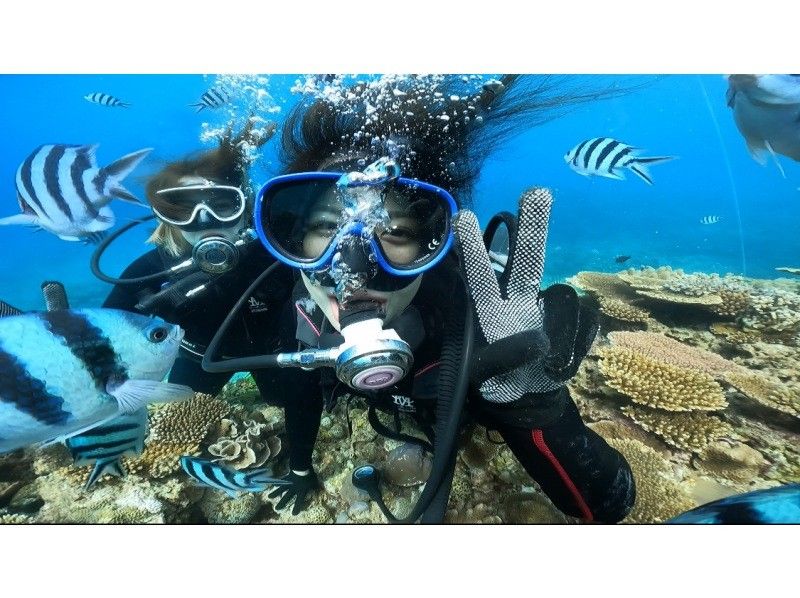 [冲绳本岛/北部]美丽海水族馆附近的大猩猩斩体验潜水♪免费GoPro照片数据服务推荐给女性、情侣和家庭！の紹介画像