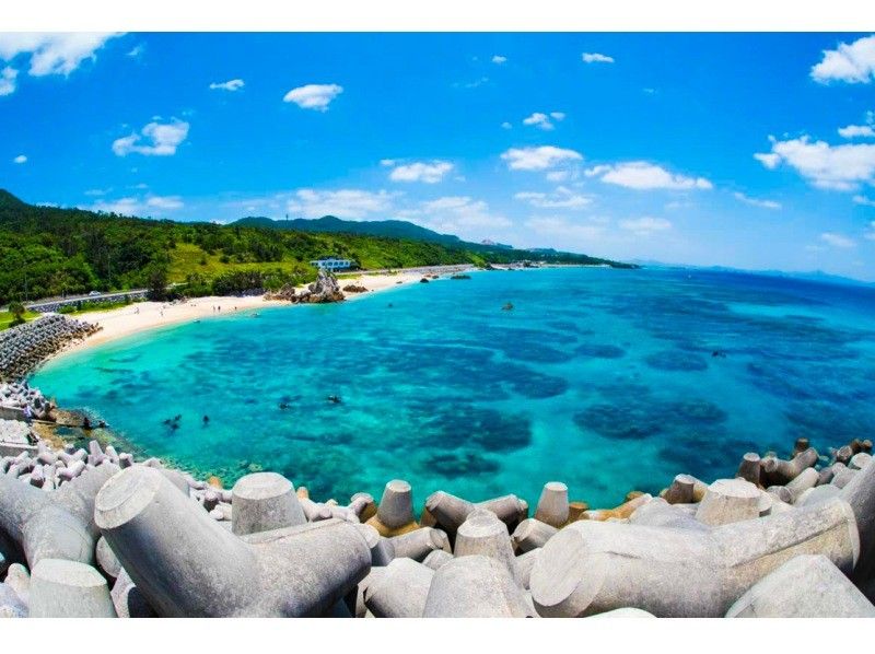 [Okinawa, northern part]Gorilla Chop experience diving! Beginners are welcome. Free photo data