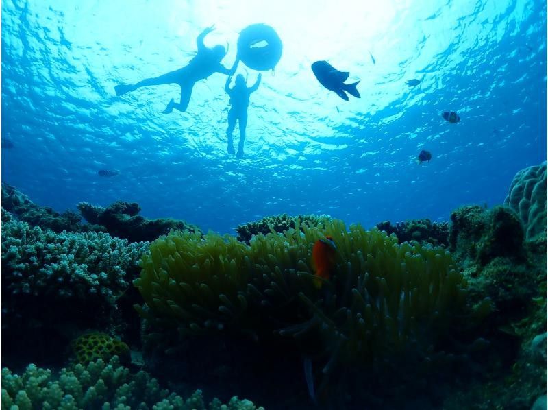 ★沖縄本島・北部・カラフルなお魚珊瑚が沢山で大人気ゴリラチョップシュノーケリング♪GoPro写真データ無料！女性・カップル・家族におすすめ！の紹介画像