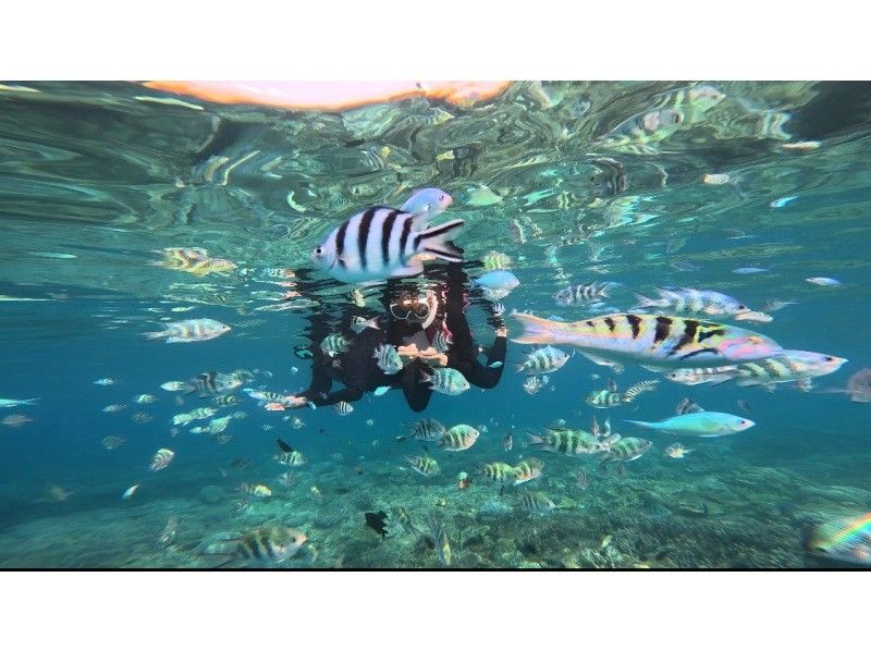 【沖繩北部】即使在冬季也能游泳！大猩猩灘浮潛♪ 免費冬季潛水衣租借！推薦初學者♪の紹介画像