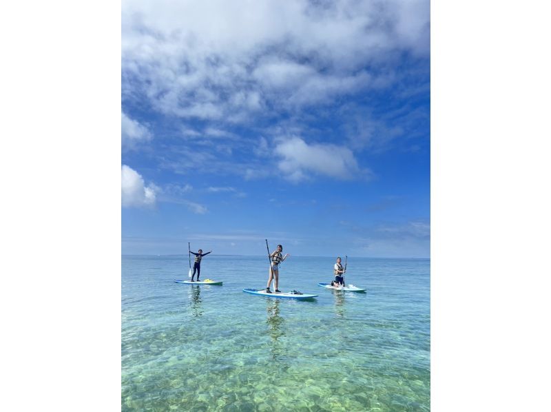 【１組様貸切】透明度抜群！南の島の輝く海をSUPで遊ぼう！女性ガイドが担当/送迎・写真込み/手ぶら参加◎の紹介画像