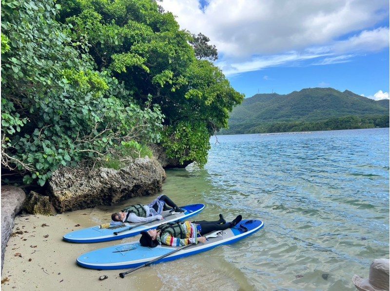 【1組様貸切/３時間】南の島でSUP体験！透明度抜群な海でたっぷり遊ぼう！女性ガイドが担当/送迎・写真込み/手ぶら参加OKの紹介画像