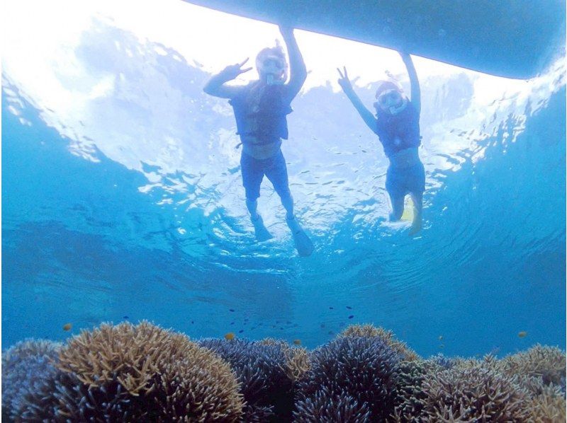 【1組様貸切/3時間半】石垣島の海を半日で満喫！トロピカルSUP＆シュノーケリング！女性ガイドが担当/送迎・写真込み/手ぶら参加◎の紹介画像