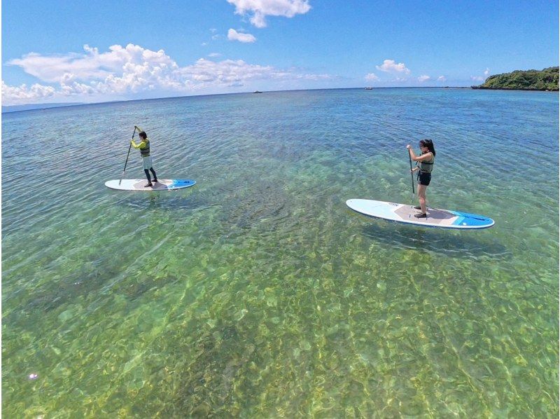 【1組様貸切/3時間半】石垣島の海を半日で満喫！トロピカルSUP＆シュノーケリング！女性ガイドが担当/送迎・写真込み/手ぶら参加◎の紹介画像