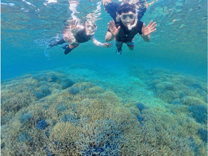 【1組様貸切/3時間半】石垣島の海を半日で満喫！トロピカルSUP＆シュノーケリング！女性ガイドが担当/送迎・写真込み/手ぶら参加◎の紹介画像