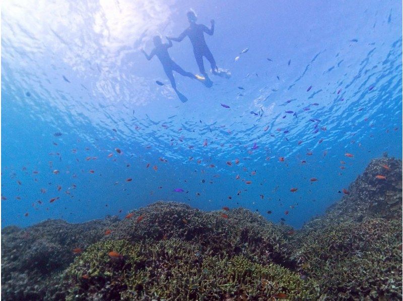 【1組様貸切/3時間半】石垣島の海を半日で満喫！トロピカルSUP＆シュノーケリング！女性ガイドが担当/送迎・写真込み/手ぶら参加◎の紹介画像