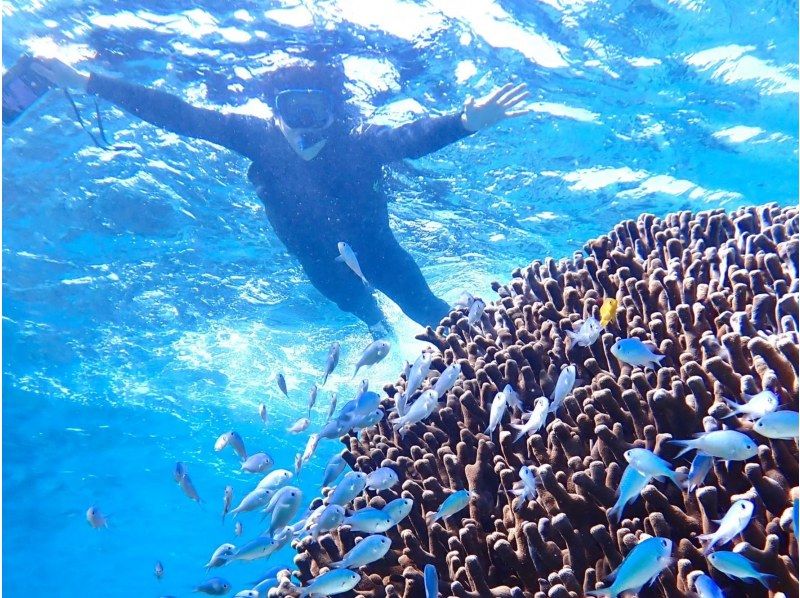 [Okinawa, Yonaguni Island] Enjoy the great outdoors on a remote island! SUP/canoe x snorkel plan to explore the oceanの紹介画像