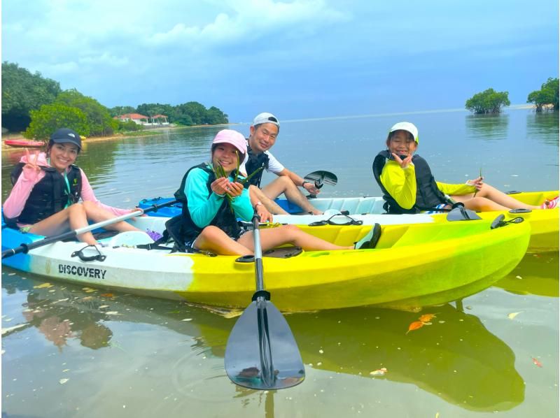 【沖縄・石垣島】宮良川マングローブカヌー体験【現地集合】【無料駐車場】【写真データ無料】【トイレ更衣室完備】【腰当シート付】【島人ガイド】の紹介画像