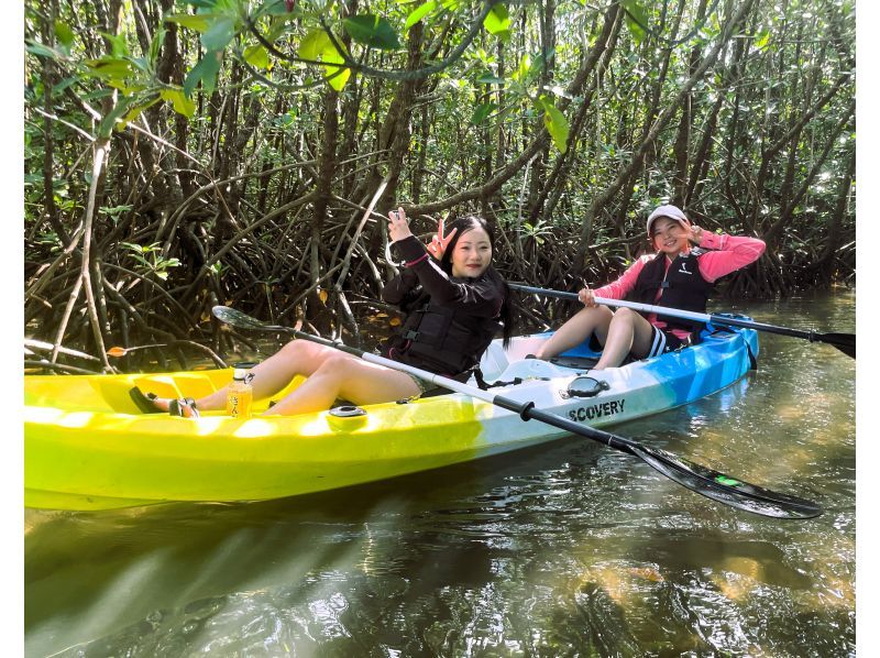 【沖縄・石垣島】宮良川マングローブカヌー体験【現地集合】【無料駐車場】【写真データ無料】【トイレ更衣室完備】【腰当シート付】【島人ガイド】の紹介画像