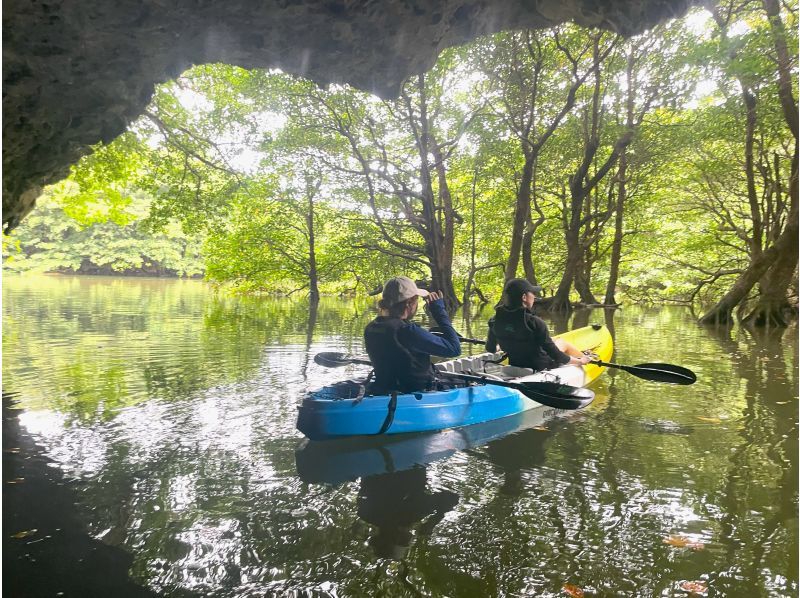 沖繩,石垣島“Ashibinaa」宮良川紅樹林獨木舟之旅
