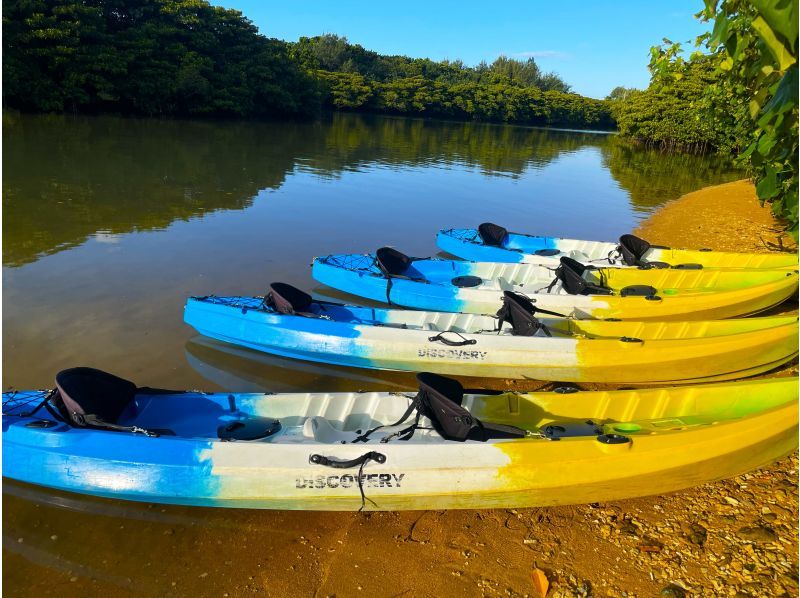 【沖縄・石垣島】宮良川マングローブカヌー体験【現地集合】【無料駐車場】【写真データ無料】【トイレ更衣室完備】【腰当シート付】【島人ガイド】の紹介画像