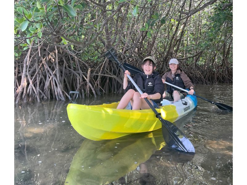 【沖縄・石垣島】宮良川マングローブカヌー体験【現地集合】【無料駐車場】【写真データ無料】【トイレ更衣室完備】【腰当シート付】【島人ガイド】の紹介画像