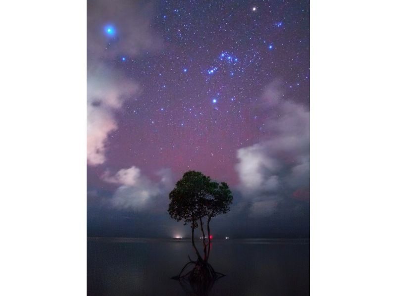 【沖縄・石垣島】星空☆ナイトサファリ【市街地送迎無料】星降る夜に南国のレアな生き物を探しに行こう！島人ガイドがご案内します！の紹介画像