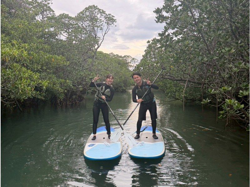 【1組様貸切/3時間】マングローブSUPで癒しの時間を！のんびり非日常体験！女性ガイドが担当/送迎・写真込み/手ぶら参加OKの紹介画像