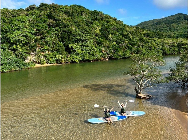 【1組様貸切/3時間】マングローブSUPで癒しの時間を！のんびり非日常体験！女性ガイドが担当/送迎・写真込み/手ぶら参加OKの紹介画像