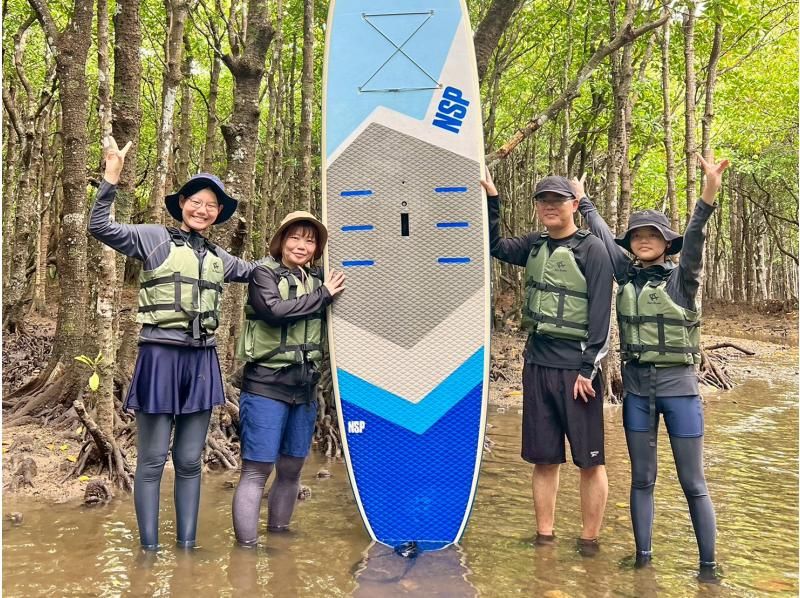 【1組様貸切/3時間】マングローブSUPで癒しの時間を！のんびり非日常体験！女性ガイドが担当/送迎・写真込み/手ぶら参加OKの紹介画像