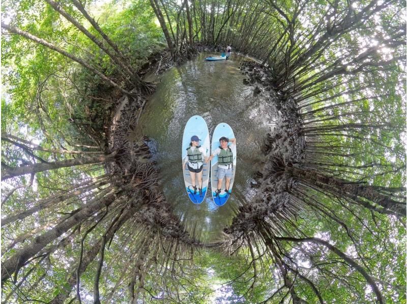 【1組様貸切/3時間】マングローブSUPで癒しの時間を！のんびり非日常体験！女性ガイドが担当/送迎・写真込み/手ぶら参加OKの紹介画像
