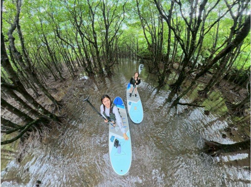 【1組様貸切/3時間】マングローブSUPで癒しの時間を！のんびり非日常体験！女性ガイドが担当/送迎・写真込み/手ぶら参加OKの紹介画像