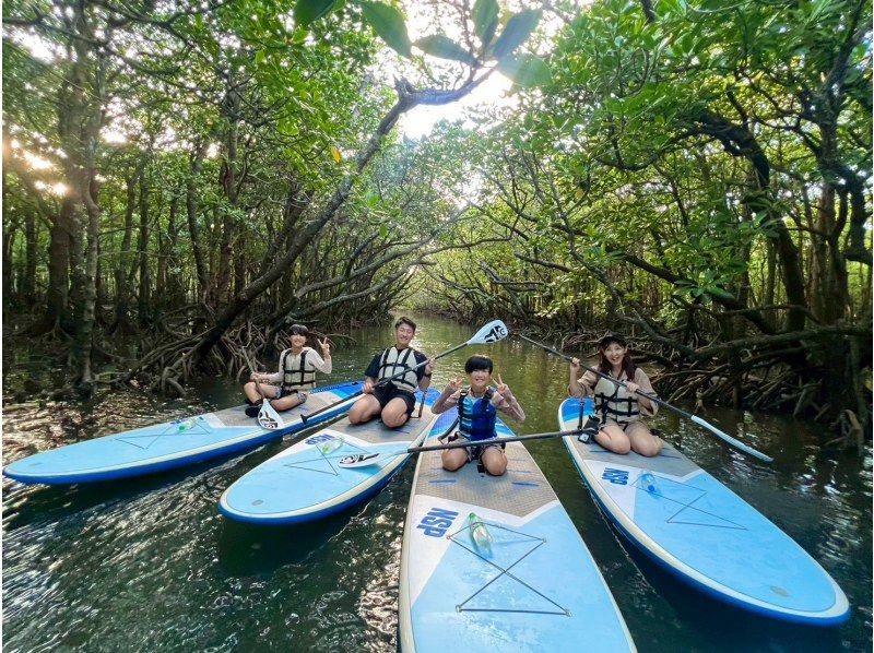 【1組様貸切/3時間】マングローブSUPで癒しの時間を！のんびり非日常体験！女性ガイドが担当/送迎・写真込み/手ぶら参加OKの紹介画像