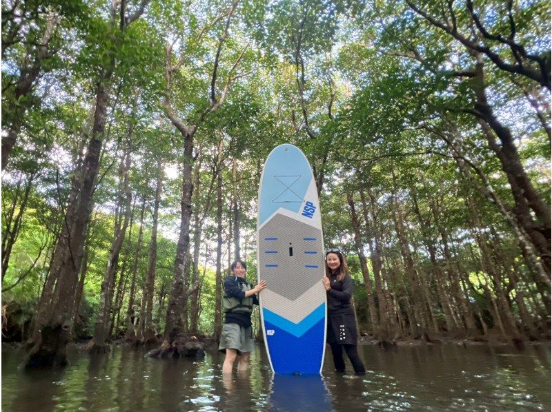 【1組様貸切/3時間】マングローブSUPで癒しの時間を！のんびり非日常体験！女性ガイドが担当/送迎・写真込み/手ぶら参加OKの紹介画像