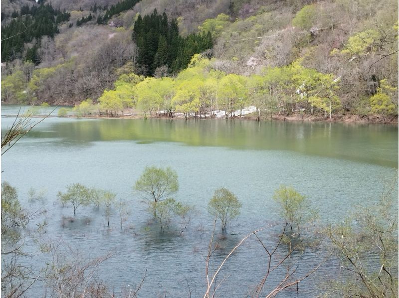 【東北・山形県】西川町　期間限定・絶景・月山湖・月山と朝日連峰を眺めミニ水没林を漕ぐパックラフト（カヌー・カヤック）ツアー・写真データ無料！の紹介画像