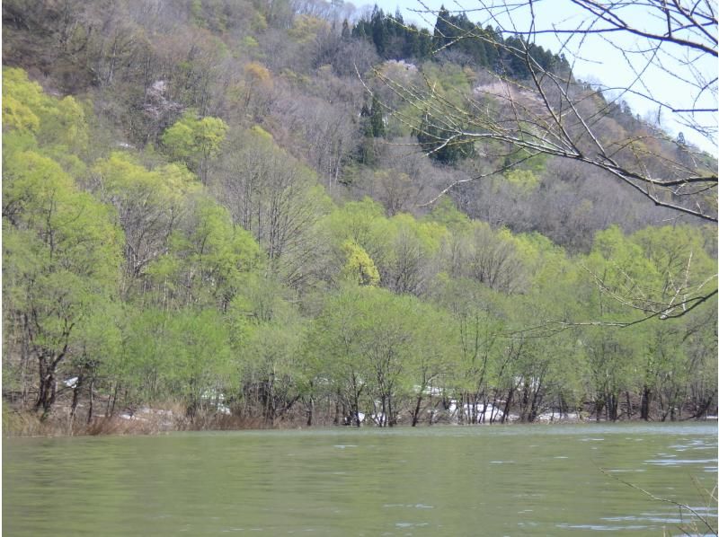 【東北・山形県】西川町　期間限定・絶景・月山湖・月山と朝日連峰を眺めミニ水没林を漕ぐパックラフト（カヌー・カヤック）ツアー・写真データ無料！の紹介画像
