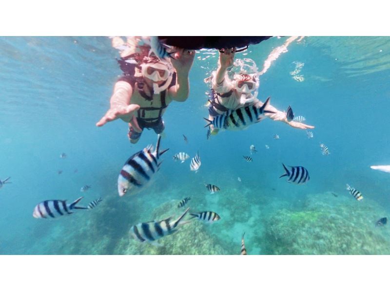 【1組様貸切/3時間】《青の洞窟orウミガメorエダサンゴ》選べる！シュノーケリングツアー！女性ガイドが担当/送迎・写真込み/手ぶら参加OKの紹介画像