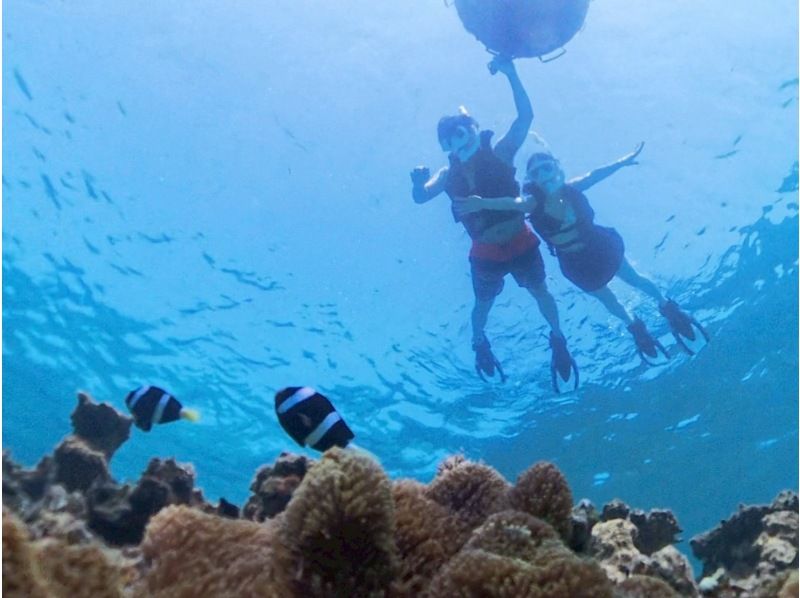 【1組様貸切/3時間】《青の洞窟orウミガメorエダサンゴ》選べる！シュノーケリングツアー！女性ガイドが担当/送迎・写真込み/手ぶら参加OKの紹介画像