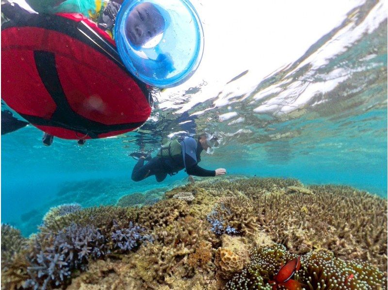 【1組様貸切/3時間】《青の洞窟orウミガメorエダサンゴ》選べる！シュノーケリングツアー！女性ガイドが担当/送迎・写真込み/手ぶら参加OKの紹介画像