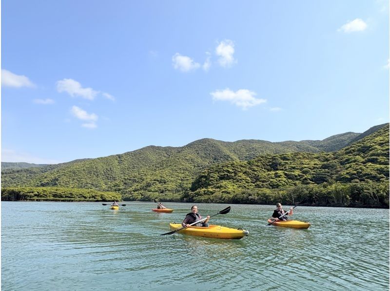 【奄美大島】お得なグループ料金！家族旅行におすすめのマングローブカヌーと干潟の生き物散策ツアー！認定ガイドが楽しくご案内！の紹介画像