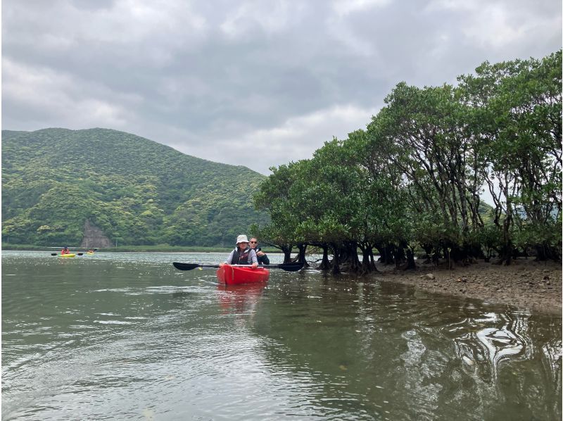 [Amami Oshima] A mangrove tidal flat walk and canoe tour that the whole family can enjoy! 