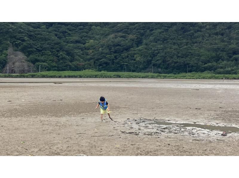 【奄美大島】お得なグループ料金！家族旅行におすすめのマングローブカヌーと干潟の生き物散策ツアー！認定ガイドが楽しくご案内！の紹介画像