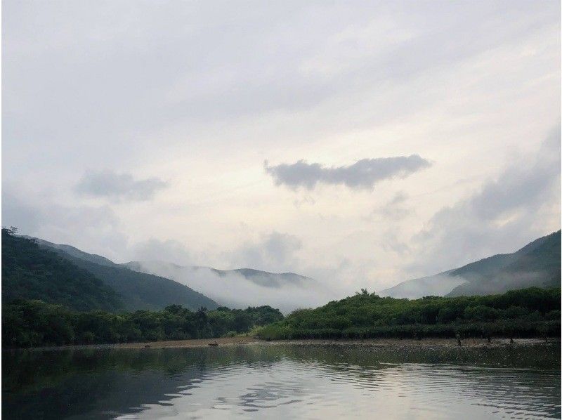 [Amami Oshima] A mangrove tidal flat walk and canoe tour that the whole family can enjoy! 