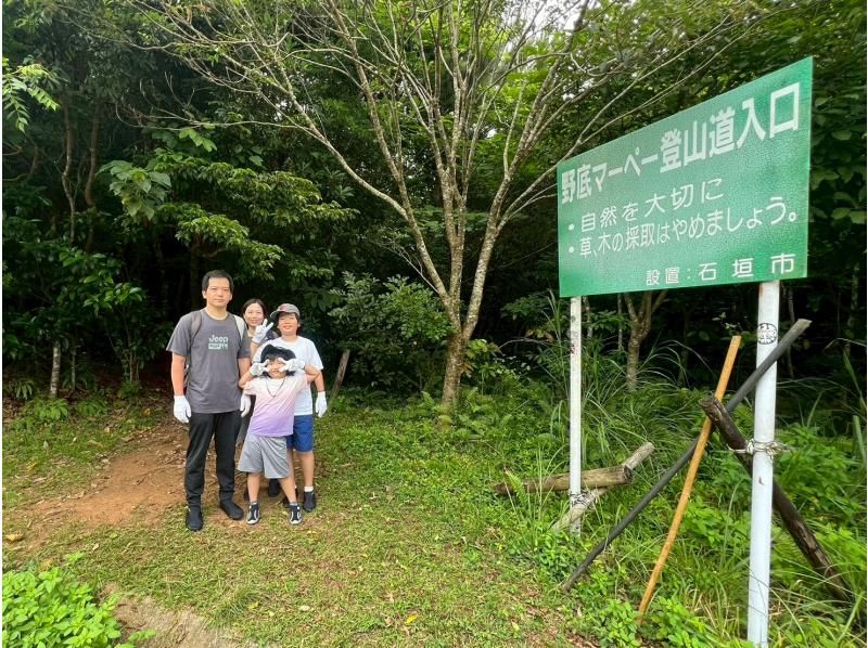 【1組様貸切/3時間】お手軽★絶景の山頂を目指すトレッキングツアー！女性ガイドが担当/送迎・写真込み/手ぶら参加OKの紹介画像