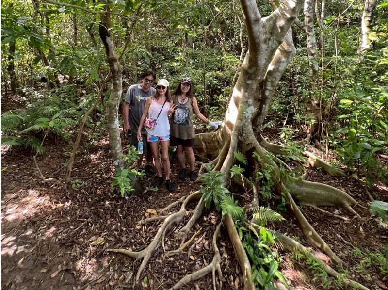 【1組様貸切/3時間】お手軽★絶景の山頂を目指すトレッキングツアー！女性ガイドが担当/送迎・写真込み/手ぶら参加OKの紹介画像