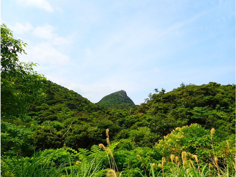 【１組様貸切】お手軽＆絶景☆山頂を目指すトレッキングツアー！1組様貸切！女性ガイドが担当/送迎・写真込み/手ぶら参加◎の紹介画像