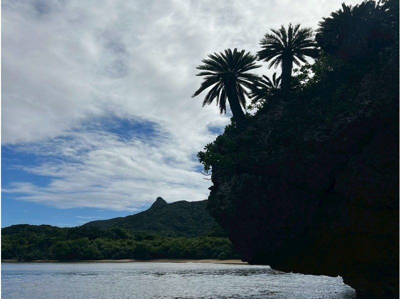 【1組様貸切/3時間】お手軽★絶景の山頂を目指すトレッキングツアー！女性ガイドが担当/送迎・写真込み/手ぶら参加OKの紹介画像