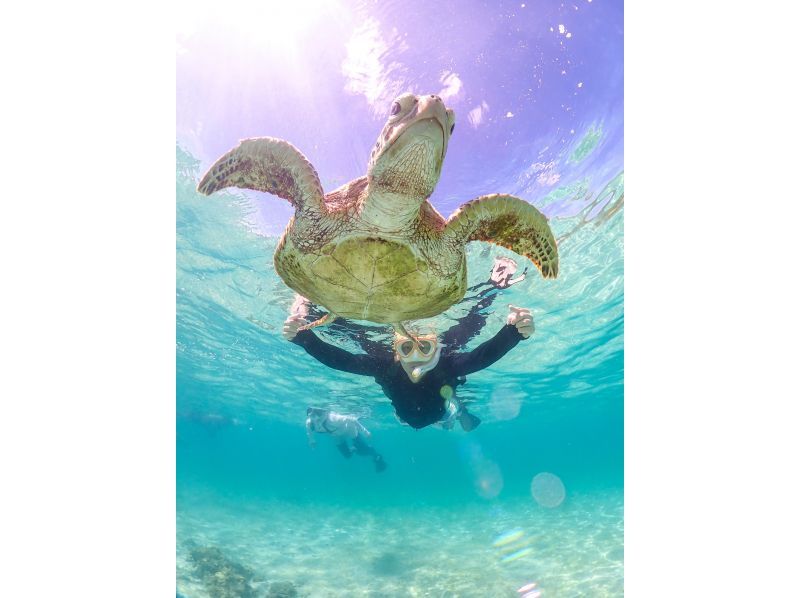 [Miyakojima - Private tour limited to one group] Close-up snorkeling with sea turtles | Top-class photo data in both quantity and quality! Showers and changing areas availableの紹介画像