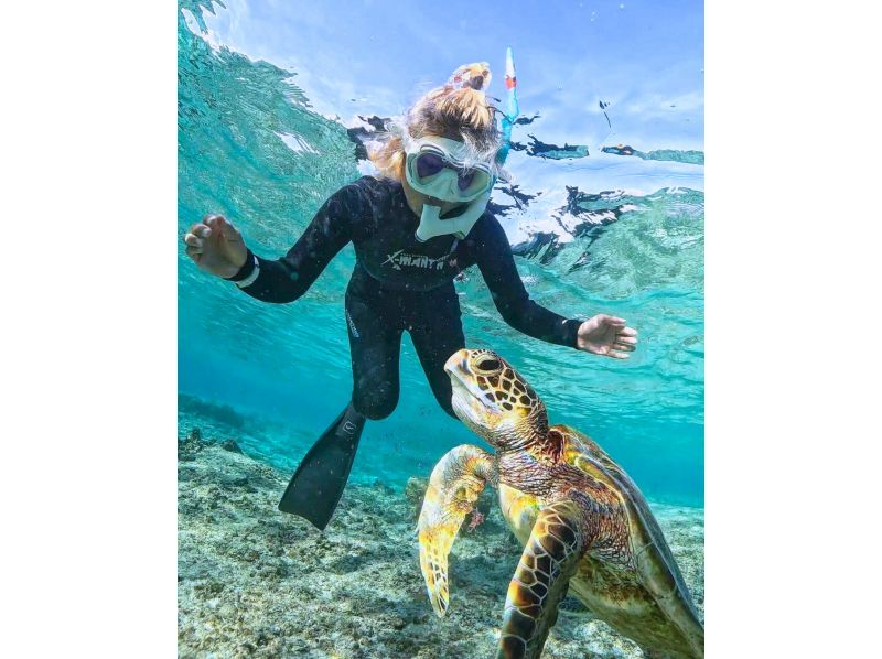 [Miyakojima - Private tour limited to one group] Close-up snorkeling with sea turtles | Top-class photo data in both quantity and quality! Showers and changing areas availableの紹介画像
