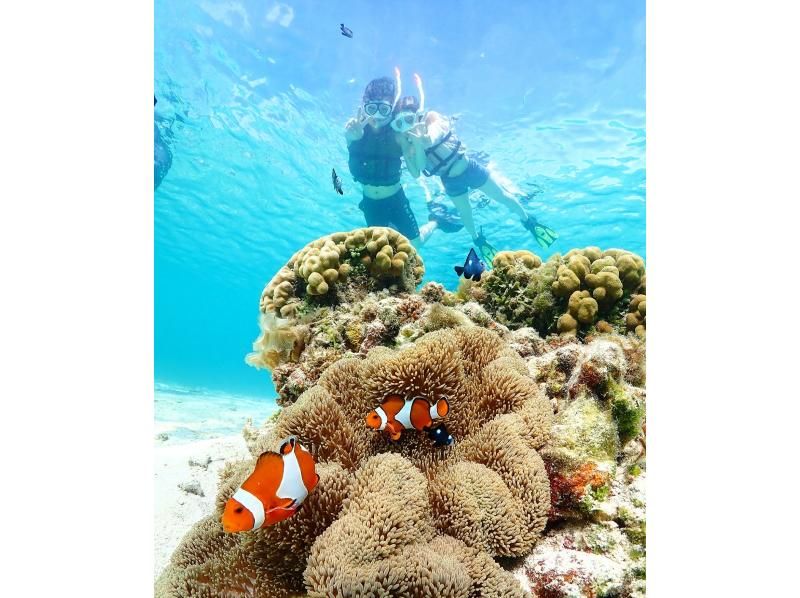 【宮古島・貸切1組限定】ウミガメ大接近シュノーケル｜撮影データは“量も質も”業界トップクラス！シャワー・着替えスペースありの紹介画像