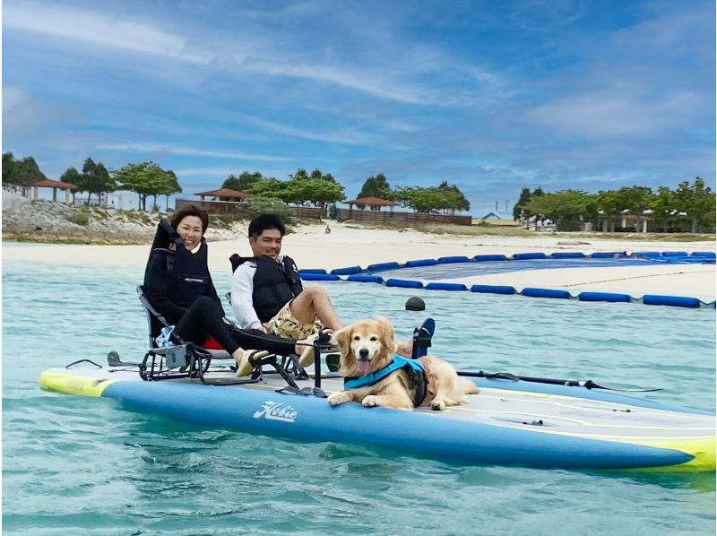 [沖繩本島南部] 何不試試乘坐新型腳劃獨木舟在糸滿市週邊海域巡遊呢？家庭、情侶、兒童、女生聚會、男士旅行都歡迎！の紹介画像