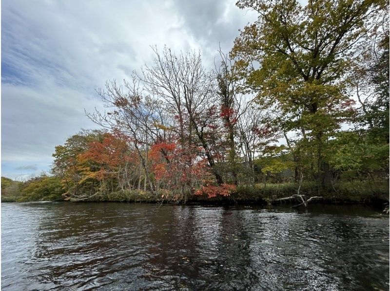 [Hokkaido, Chitose River] [Canadian Canoe Long Course] Enjoy the great outdoors! Canoe down the Chitose River, home of salmon の紹介画像